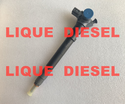 DENSO Common Rail Injector 295700-0290 33800-4A950 2957000290 338004A950 for HYUNDAI D4CB VGT Euro 6 supplier
