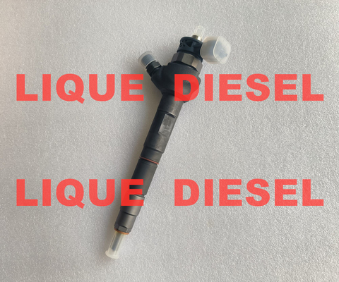 BOSCH COMMON RAIL INJECTOR 0445110738 0 445 110 738 1042210FE010 1042200FE010 supplier