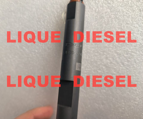 DELPHI Common Rail Injector B05501A LJBB05501A 320-06837 32006837 320 06837 5501A supplier