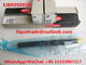 DELPHI INJECTOR EJBR05001D 100% Original and New Injector EJBR05001D , R05001D , 320/06623 supplier