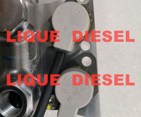 BOSCH Control Unit Valve 2469403126 2 469 403 126 2469 403 126 Fuel metering solenoid valve supplier
