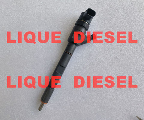 BOSCH common rail injector 0445110274 0445110275 0 445 110 274 0 445 110 275 for HYUNDAI 33800-4A500 338004A500 supplier