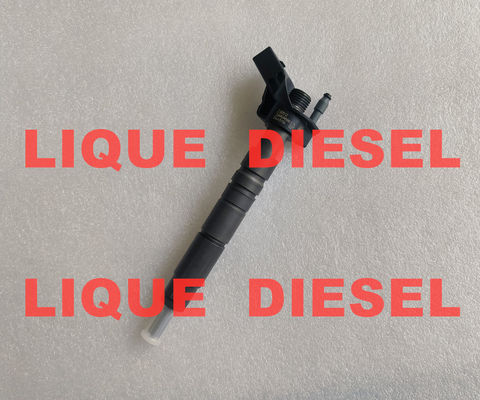 BOSCH Common Rail Injector 0445116027 0445116028 0 445 116 027 0 445 116 028 supplier