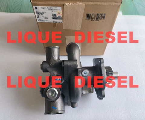 Cummins Water Pump 4299030 4299030X P4299030 supplier