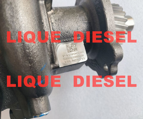 Cummins Water Pump 4299030 4299030X P4299030 supplier