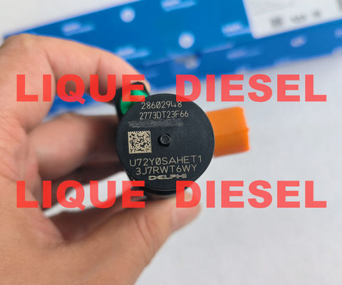 DELPHI Common Rail Injector 28602948 9674984080 28388960 D57Q-9F-893-BB D57Q9F893BB supplier