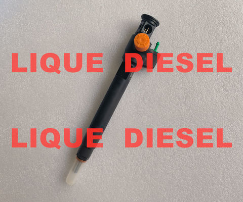 DELPHI Common Rail Injector 28602948 9674984080 28388960 D57Q-9F-893-BB D57Q9F893BB supplier