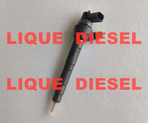 BOSCH Fuel Injector 0445110646 0445110369 0445110647 0 445 110 646 0445110 646 0 445 110 369 0 445 110 647 supplier