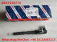 BOSCH Common rail injector 0445110274 , 0 445 110 274 for HYUNDAI 33800-4A500 supplier