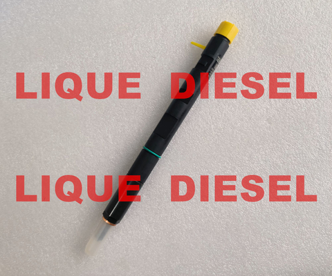 DELPHI Common Rail Injector EJBR05001D R05001D 320/06623 320-06623 supplier