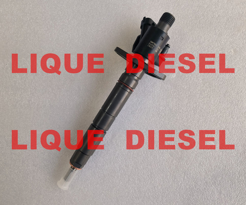 BOSCH injector 0445116064 0445116012 0445116013 0 445 116 064 0 445 116 012 0 445 116 013 supplier