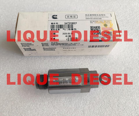 Common Rail Limiter Valve 5473196 4954245 4383889 4307195 supplier