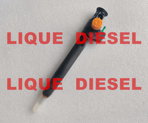 Common Rail Injector 28602948 9674984080 28388960 28319895 D57Q-9F-893-BB D57Q9F893BB supplier