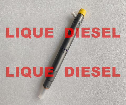 COMMON RAIL INJECTOR 42039950 1100100XED95 FUEL INJECTOR 1100100-XED9 supplier