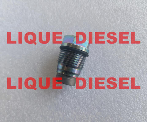 Genuine Pressure Relief Valve 1110010024 1 110 010 024 supplier