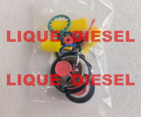 CP4 pump repair kits CP4 pump overhaul kits for pump 0445010507 0445010543 0445010546 supplier