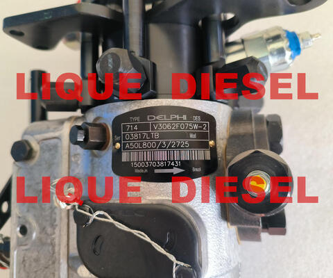 Fuel Pump 3062F075 3062F074 3062F073 3062F072 3062F071 3062F070 3062F07# supplier