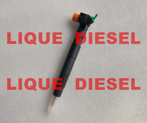 Common Rail Injector 28272472 A6510702387 6510702387 supplier