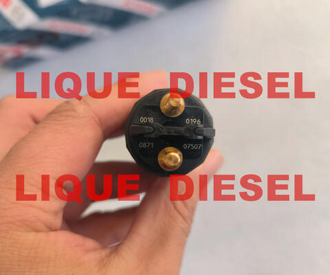 Common Rail Injector 0445120196 0 445 120 196 445120196 0445 120 196 supplier