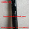 DELPHI Common rail injector 28232251 , 166001137R Original and New supplier