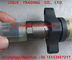 BOSCH Common rail injector 0 445 120 007 , 0445 120 007 , 0445120007 , 4025249, 2830957 for IVECO supplier