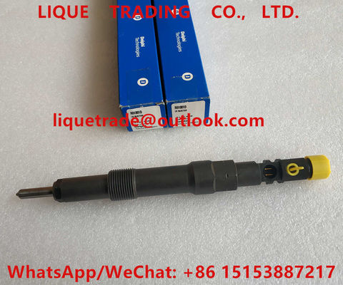 DELPHI Fuel Injector R01001D , EJDR01001D Genuine Fuel injector R01001D , EJDR01001D supplier