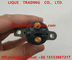BOSCH common rail injector 0445120054 , 0 445 120 054 , 504091504 , 2855491 for IVECO, CASE NEW HOLLAND supplier