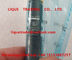 DELPHI Common Rail Injector EJBR05001D , R05001D , 320/06623 ,  320-06623 supplier
