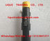 DELPHI common rail injector 28231014 for Great Wall Hover H6 1100100-ED01 , 1100100ED01 , 1100100 ED01 supplier