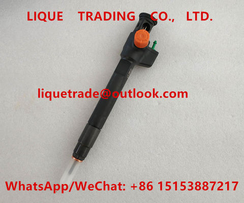 DELPHI Common Rail Injector 28602948 , 9674984080 , 28388960 , 28319895 supplier