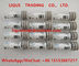 DELPHI Common Rail Injector Nozzle L229PBC , L229 , NOZZLE 229 , 229PBC supplier