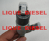 BOSCH Common Rail Injector 0445110594 , 0445110376 for CUMMINS 5258744 5309291 ISF2.8 supplier