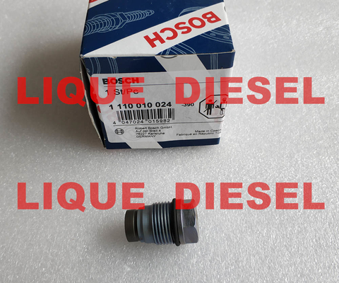 BOSCH Pressure Relief Valve 1110010024 , 1 110 010 024 , 1110 010 024 supplier
