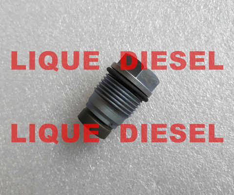 BOSCH Pressure Relief Valve 1110010024 , 1 110 010 024 , 1110 010 024 supplier