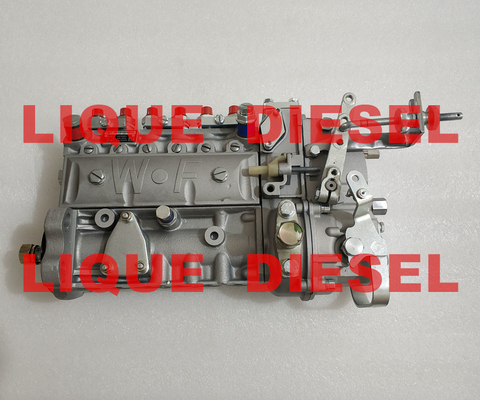 High pressure fuel injection pump assembly 3976801 6A125A WEIFU supplier