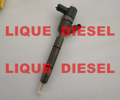 BOSCH Fuel injector 0445110255, 0445110256, 33800-2A400 , 0 445 110 255 , 0 445 110 256 , 338002A400 for HYUNDAI & KIA supplier
