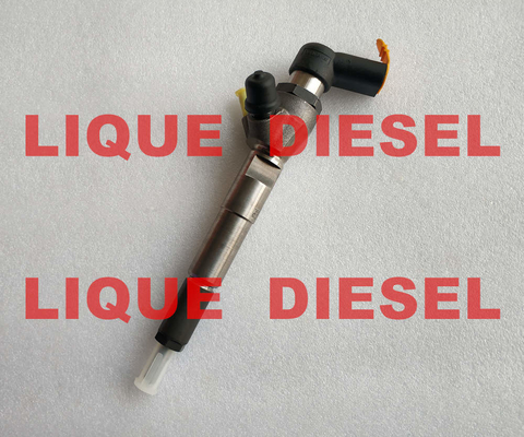 Siemens/VDO Diesel Injector A2C59513484 166008052R 16 60 080 52R 166004305R , 16 60 043 05R 8200903034 supplier