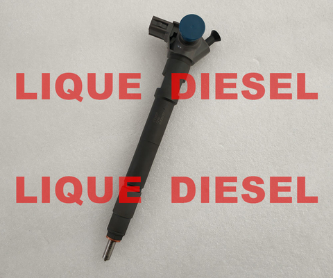 DENSO injector 295700-0290 for HYUNDAI D4CB VGT Euro 6 33800-4A950 supplier